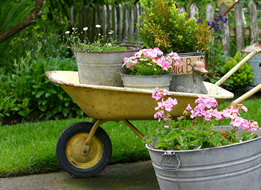 Wheelbarrow with vintage items